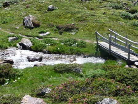 Alpenrose Aparthotel Мартело Екстериор снимка